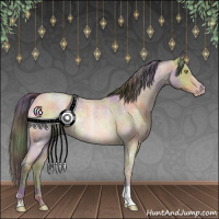 Horse Color:Nacre Amber Champagne Roan 