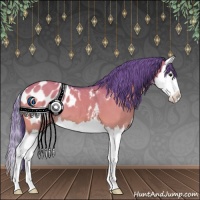Horse Color:Watercolor Brown Dun Splash Appaloosa 