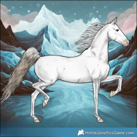 Horse Color:Smoky Black Appaloosa 