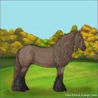 Horse Color:Liver Red Dun