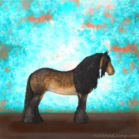 Horse Color:Buckskin 