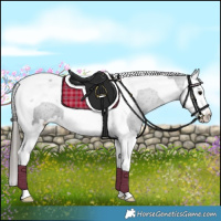 Horse Color:Black Splash Tobiano Varnish 