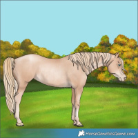 Horse Color:Gold Champagne Pearl Rabicano  and Gold Champagne Pearl Rabicano 