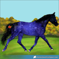 Horse Color:ERROR: UNKNOWN ANOMALY