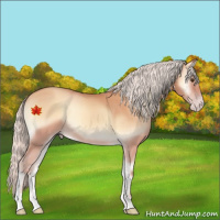 Horse Color:Silver Amber Champagne Onyx 