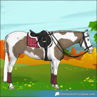 Horse Color:Silver Smoky Black Splash Tobiano 