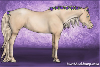 Horse Color:Gold Champagne Pearl Rabicano  and Gold Champagne Pearl Rabicano 