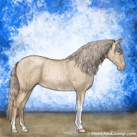 Horse Color:Chocolate Palomino Pearl Tobiano Frame  and Chocolate Palomino Pearl Dun Tobiano Frame 