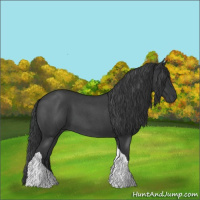 Horse Color:Blue Roan Tobiano 