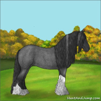 Horse Color:Blue Roan Tobiano