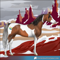 Horse Color:Bay Splash Tobiano 