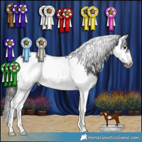 Horse Color:Black Splash Tobiano Frame Rabicano