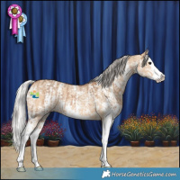 Horse Color:Bay Dun Sabino Splash  and Silver Bay Dun Sabino Splash 