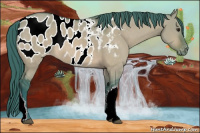 Horse Color:Watercolor Brown Dun Appaloosa 