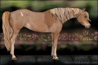 Horse Color:Chestnut  and Chestnut Varnish 