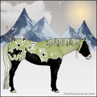 Horse Color:Watercolor Palomino Splash Appaloosa 