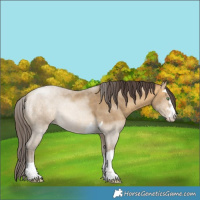 Horse Color:Sable Cream Champagne 