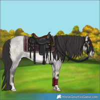 Horse Color:Smoky Blue Onyx Roan 