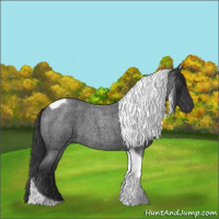 Horse Color:Blue Roan Tobiano 