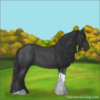 Horse Color:Blue Roan Tobiano 