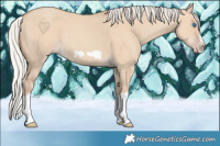 Horse Color:Silver Classic Champagne Dun Splash Frame 