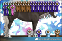 Horse Color:Gray Silver Black 