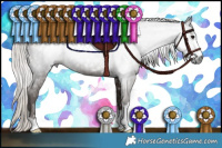 Horse Color:Gray Silver Black 