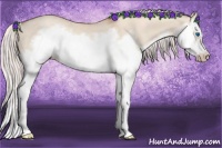 Horse Color:Silver Classic Champagne Dun Splash Frame 