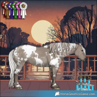 Horse Color:White Spotted Silver Grullo Mushroom 
