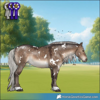 Horse Color:White Spotted Silver Brown Dun