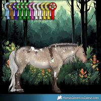 Horse Color:White Spotted Silver Brown Dun 