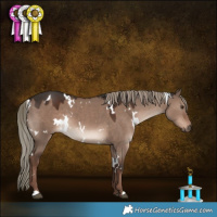 Horse Color:White Spotted Liver Red Dun Mushroom