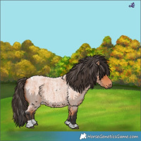 Horse Color:Bay Roan Tobiano 