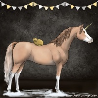 Horse Color:Gold Champagne Splash