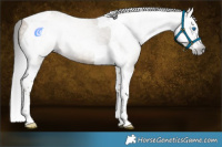 Horse Color:Gray Classic Cream Champagne Splash Tobiano 