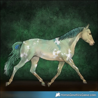 Horse Color:Watercolor White Spotted Red Dun Rabicano 