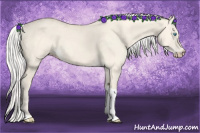 Horse Color:Silver Perlino Dun Tobiano 