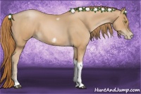 Horse Color:Red Roan Pearl Tobiano Frame 