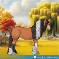 Horse Color:Bay Tobiano 