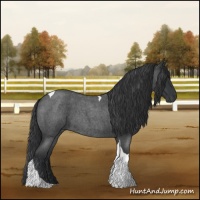 Horse Color:Blue Roan Tobiano 