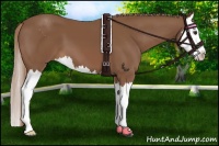Horse Color:Chestnut Sabino Splash 