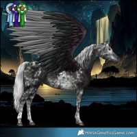 Horse Color:Gray Platinum White Spotted Midnight Liver Red Dun Ice Mushroom Tobiano Brindle 
