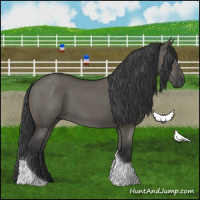 Horse Color:Grullo Tobiano 