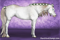 Horse Color:Gray White Spotted Smoky Creme  and Gray White Spotted Smoky Creme Splash 