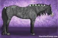 Horse Color:Blue Roan Sabino Splash  and Blue Roan Sabino Splash 