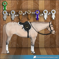 Horse Color:Bay Dun Appaloosa 