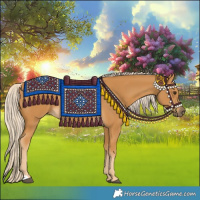 Horse Color:Palomino 