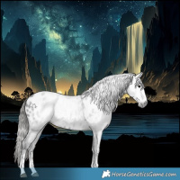 Horse Color:Gray White Spotted Black Tobiano Appaloosa 
