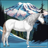 Horse Color:Gray White Spotted Liver Chestnut Tobiano Appaloosa Rabicano