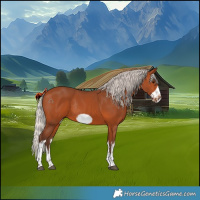Horse Color:White Spotted Silver Bay Frame Rabicano 